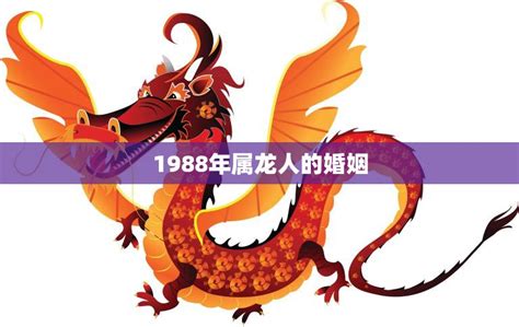 1988年属龙是什么命|1988年属龙人是什么命 八八年的龙属于什么命